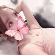 ヒメ日記 2025/06/27 16:57 投稿 ねね ハッピーブリッジ