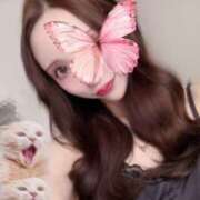 ヒメ日記 2025/07/27 12:49 投稿 ねね ハッピーブリッジ