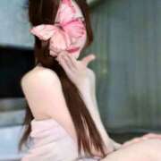 ヒメ日記 2025/08/01 12:19 投稿 ねね ハッピーブリッジ