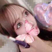 ヒメ日記 2025/08/27 12:47 投稿 ねね ハッピーブリッジ