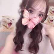 ヒメ日記 2025/09/13 14:07 投稿 ねね ハッピーブリッジ