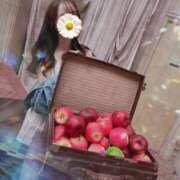 ヒメ日記 2025/09/27 13:27 投稿 ねね ハッピーブリッジ