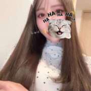 ヒメ日記 2026/02/20 13:07 投稿 ねね ハッピーブリッジ