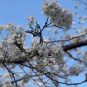 ヒメ日記 2025/04/05 16:45 投稿 あい 快楽玉乱堂