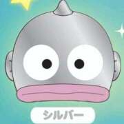 ヒメ日記 2025/06/27 08:56 投稿 あい 快楽玉乱堂