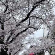 ヒメ日記 2026/04/02 18:56 投稿 あい 快楽玉乱堂