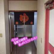 ヒメ日記 2026/01/29 19:19 投稿 つきな 新宿サンキュー