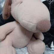 ヒメ日記 2026/02/18 17:32 投稿 つきな 新宿サンキュー