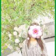 ヒメ日記 2025/01/24 21:09 投稿 美帆(みほ) 八王子人妻城