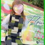 ヒメ日記 2026/04/01 21:33 投稿 美帆(みほ) 八王子人妻城