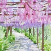 ヒメ日記 2026/05/01 23:14 投稿 綾瀬　みお 川崎南町 素敵な奥様（川崎ハレ系）