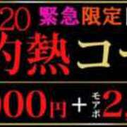 ヒメ日記 2024/11/20 09:54 投稿 あずき 横浜人妻花壇本店