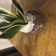 ヒメ日記 2025/05/09 07:32 投稿 後藤しおり CLARA（クララ）