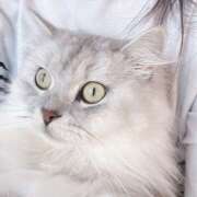 ヒメ日記 2025/06/14 10:12 投稿 後藤しおり CLARA（クララ）