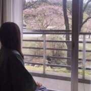 ヒメ日記 2025/04/27 12:50 投稿 ゆうり 東大阪人妻援護会