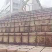 ヒメ日記 2025/03/08 07:42 投稿 まほ 脱がされたい人妻 町田・相模原店