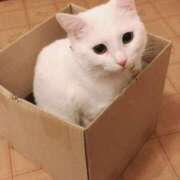 ヒメ日記 2025/02/25 17:23 投稿 ももな 即プレイ専門店 性の極み