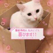 ヒメ日記 2025/03/07 10:23 投稿 ももな 即プレイ専門店 性の極み