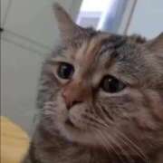 ヒメ日記 2026/03/14 18:16 投稿 ももな 即プレイ専門店 性の極み