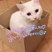ヒメ日記 2026/08/24 02:05 投稿 ももな 即プレイ専門店 性の極み