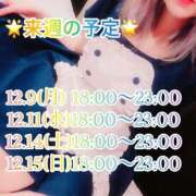 ヒメ日記 2024/12/08 23:48 投稿 キララお嬢様 M&m Maidとm男の夢物語。