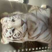 ひより 動物公園 西川口淑女館