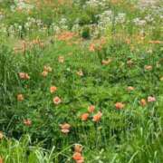 ヒメ日記 2025/05/17 13:13 投稿 こひな 出会い系人妻ネットワーク さいたま～大宮編