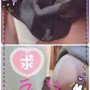 ヒメ日記 2025/04/02 15:34 投稿 鳴月 えり 欲情のよろめき・第二章