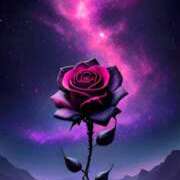 ヒメ日記 2025/03/12 18:52 投稿 秋吉 ひな 欲情のよろめき・第二章