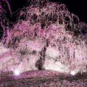 ヒメ日記 2025/06/06 05:38 投稿 秋吉 ひな 欲情のよろめき・第二章