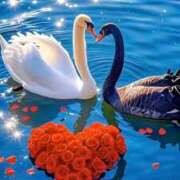 ヒメ日記 2025/07/11 02:16 投稿 秋吉 ひな 欲情のよろめき・第二章