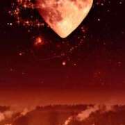 ヒメ日記 2025/10/24 02:02 投稿 秋吉 ひな 欲情のよろめき・第二章