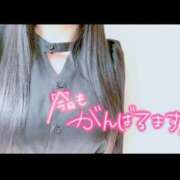 ヒメ日記 2025/04/20 10:44 投稿 しずく One More奥様　蒲田店