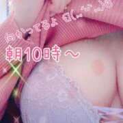 ヒメ日記 2025/09/01 09:04 投稿 しずく One More奥様　蒲田店