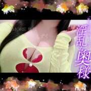 ヒメ日記 2025/09/01 11:11 投稿 しずく One More奥様　蒲田店