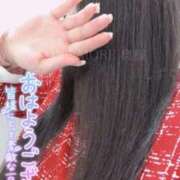 ヒメ日記 2025/12/07 10:42 投稿 しずく One More奥様　蒲田店