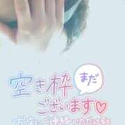 ヒメ日記 2026/02/17 14:10 投稿 しずく One More奥様　蒲田店