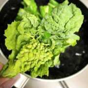 ヒメ日記 2026/03/02 23:26 投稿 しずく One More奥様　蒲田店