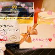 ヒメ日記 2025/02/09 22:16 投稿 琴音-ことね- フォーシーズン