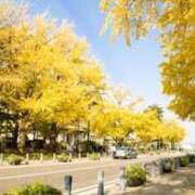 ヒメ日記 2024/12/11 23:49 投稿 遠藤（えんどう） 熟女の風俗最終章 大宮店