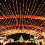 ヒメ日記 2024/12/21 00:14 投稿 遠藤（えんどう） 熟女の風俗最終章 大宮店