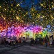 ヒメ日記 2024/12/21 23:59 投稿 遠藤（えんどう） 熟女の風俗最終章 大宮店