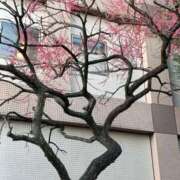 ヒメ日記 2025/03/15 00:09 投稿 遠藤（えんどう） 熟女の風俗最終章 大宮店