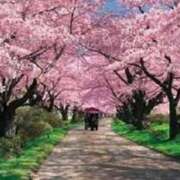 ヒメ日記 2025/03/19 23:59 投稿 遠藤（えんどう） 熟女の風俗最終章 大宮店