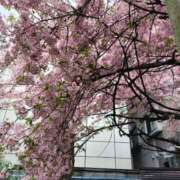 ヒメ日記 2025/03/27 21:29 投稿 遠藤（えんどう） 熟女の風俗最終章 大宮店