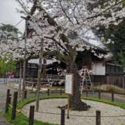 ヒメ日記 2025/03/30 23:54 投稿 遠藤（えんどう） 熟女の風俗最終章 大宮店