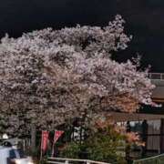 ヒメ日記 2025/04/07 23:32 投稿 遠藤（えんどう） 熟女の風俗最終章 大宮店