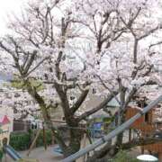 ヒメ日記 2025/04/11 00:09 投稿 遠藤（えんどう） 熟女の風俗最終章 大宮店