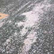 ヒメ日記 2025/04/12 00:09 投稿 遠藤（えんどう） 熟女の風俗最終章 大宮店