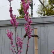 ヒメ日記 2025/04/13 23:49 投稿 遠藤（えんどう） 熟女の風俗最終章 大宮店